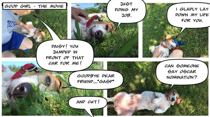 Comic Strip Adventure Create Your Business Comic Book Thanks To